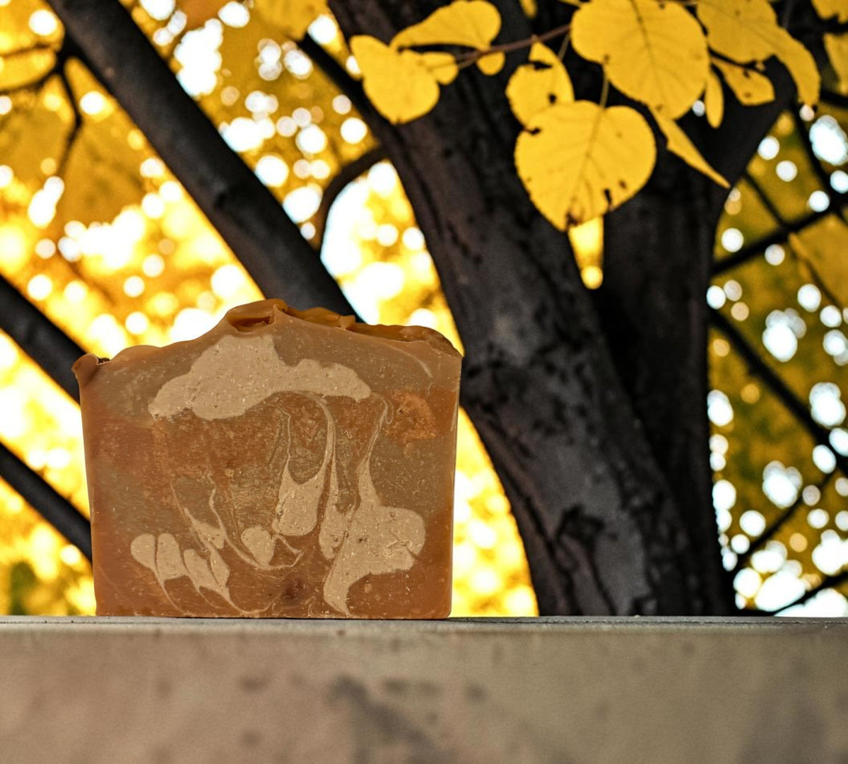 Autumn Breeze Goat Milk Soap